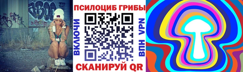 Галлюциногенные грибы мицелий даркнет сайт Шуя