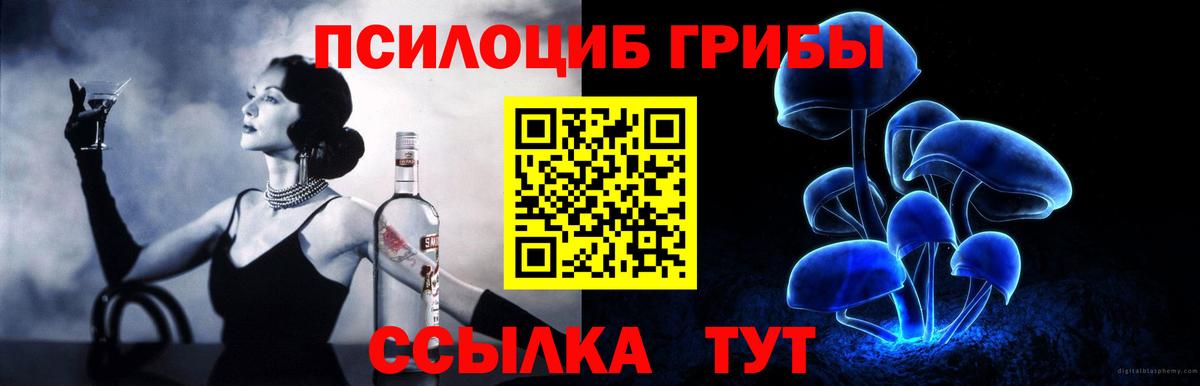 Галлюциногенные грибы Cubensis  Вход с VPN  Шуя 